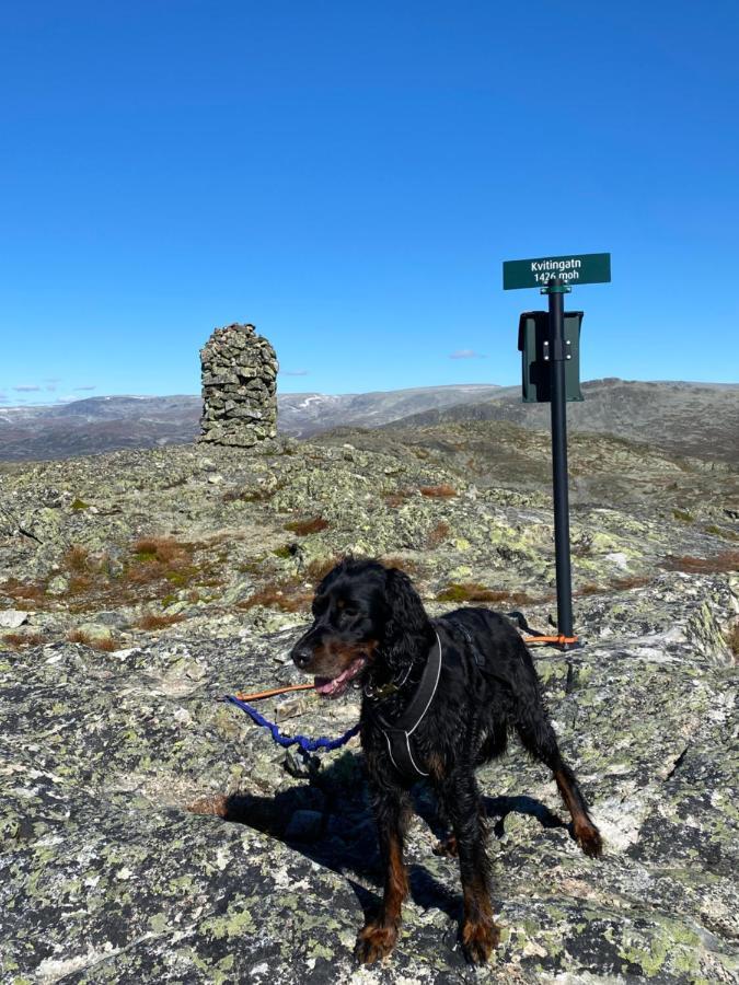 Hyggelig Leilighet I Sentrum Hemsedal Bagian luar foto