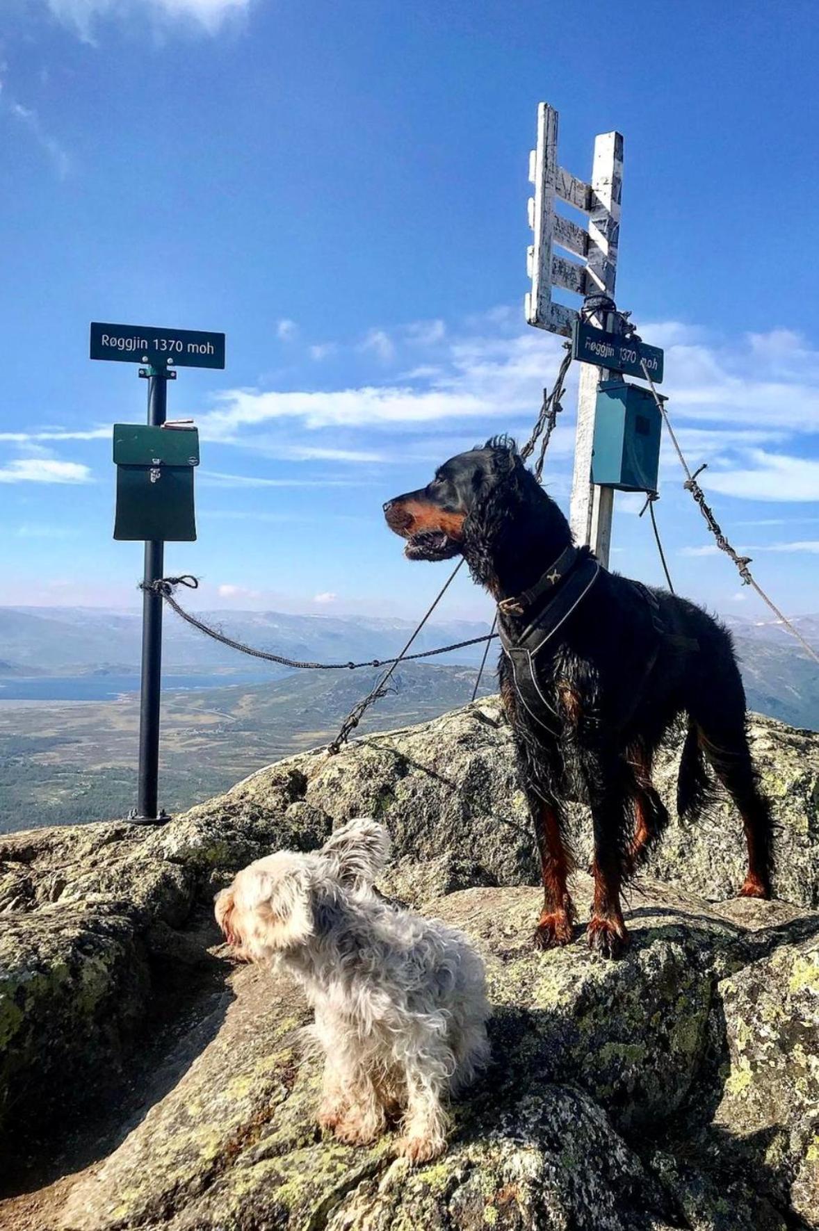 Hyggelig Leilighet I Sentrum Hemsedal Bagian luar foto